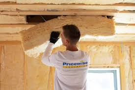 Eco-Friendly or Green Insulation Solutions in Murillo, TX