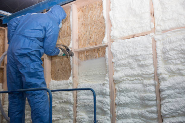 Best Eco-Friendly or Green Insulation Solutions  in Murillo, TX